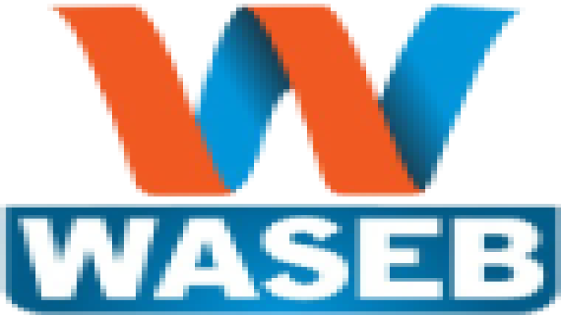 Waseeb TV